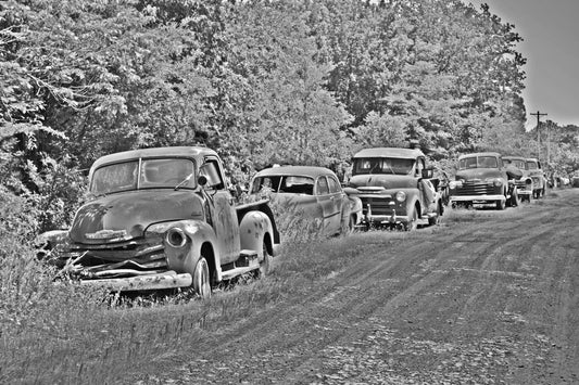 The Long Line Home