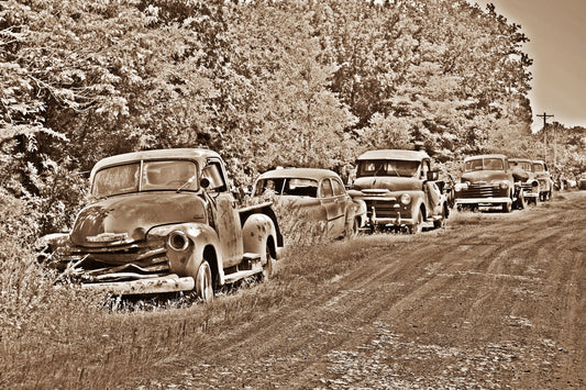 Echoes Along the Back Road