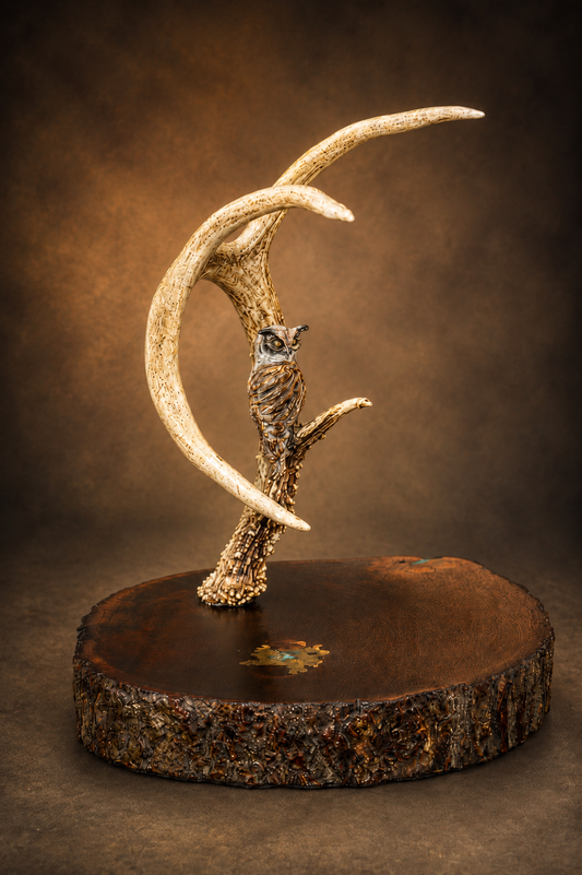Moonlit Wisdom
